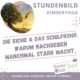 kinderyoga stundenbilder